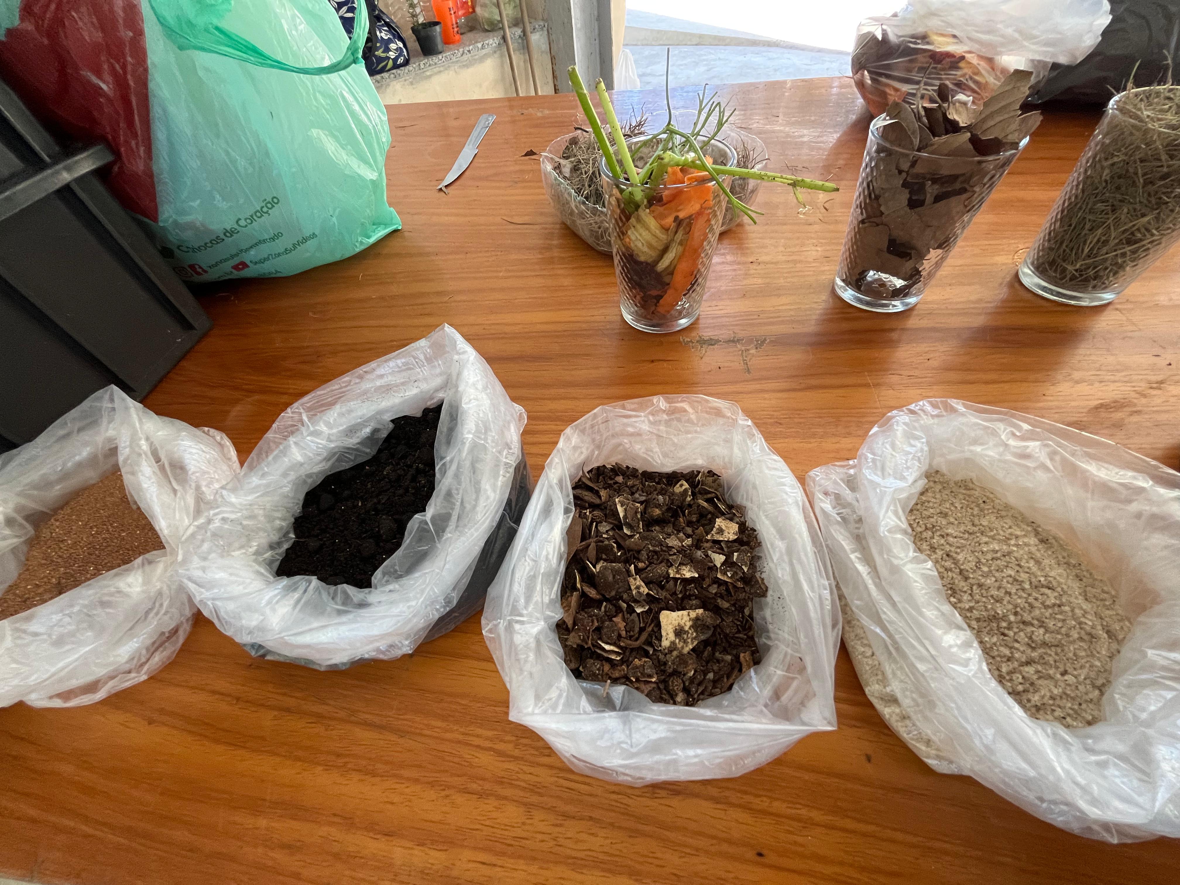 Compostagem Doméstica