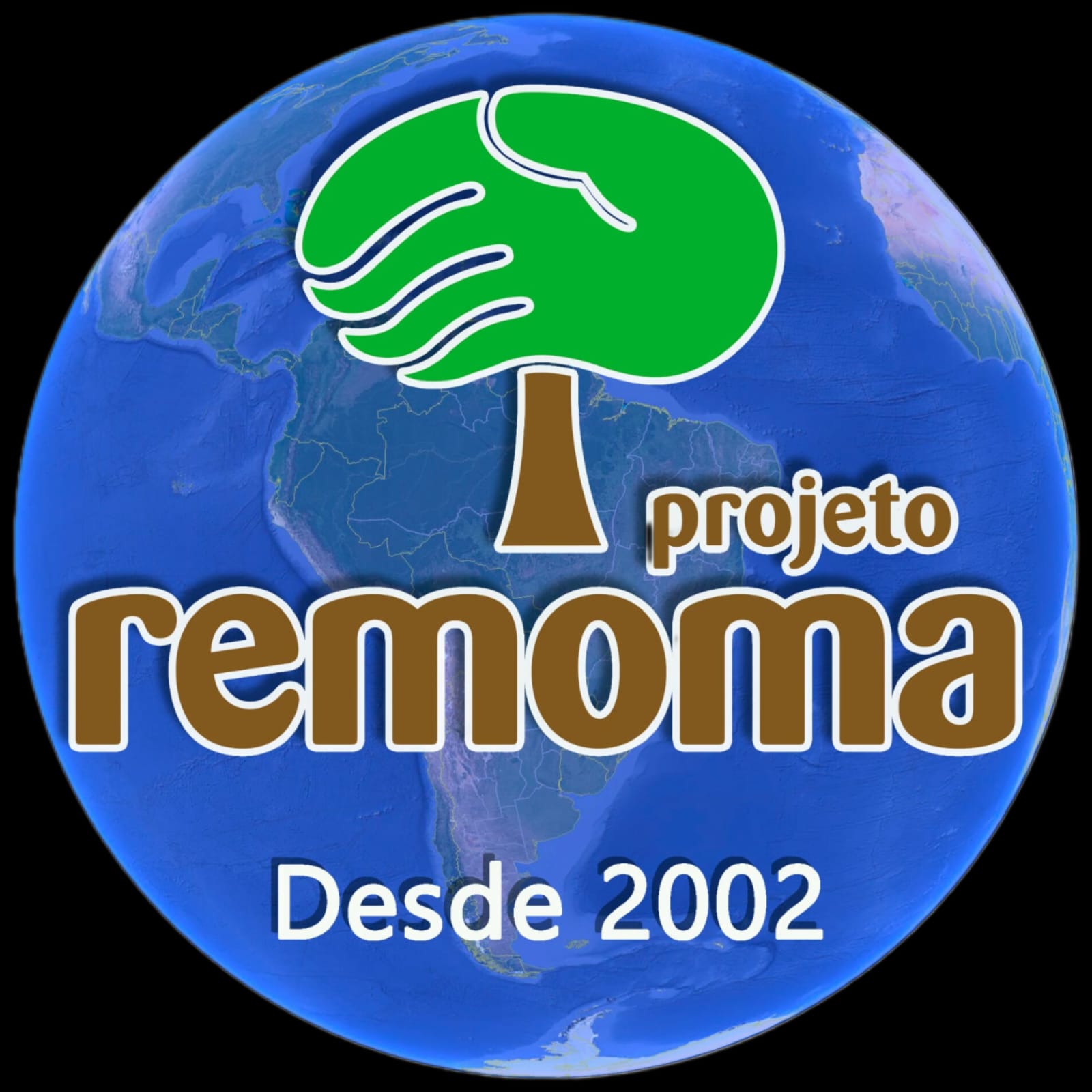 Projeto REMOMA -
